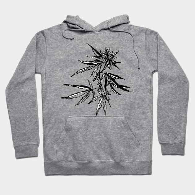 Cannabis Plant Hoodie by kwilliams622